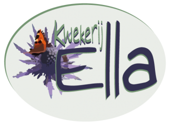 Kwekerij Ella